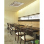 Midea MCD-48HRN1-R/MOU-48HN1-RR